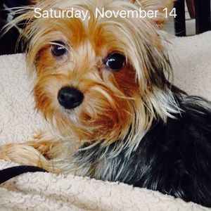 Meet your Posher, Omar